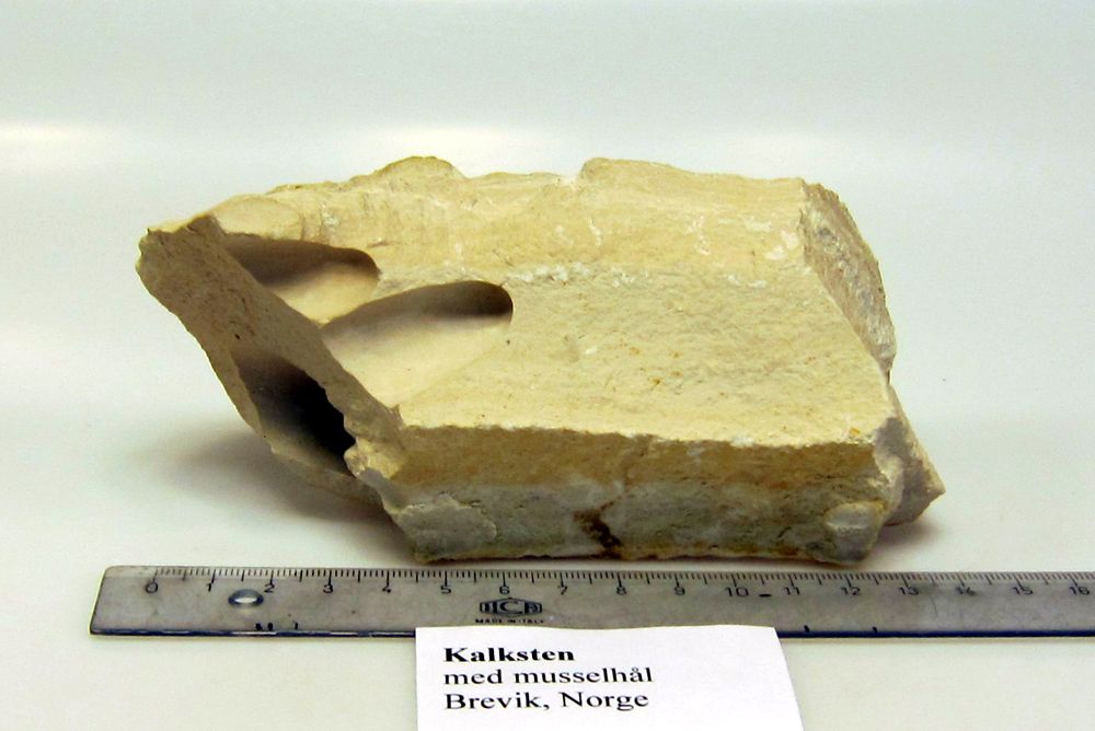 Sediment Ra Bergarter V Sterbergslagens Geologiska F Rening